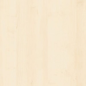 top_bg001